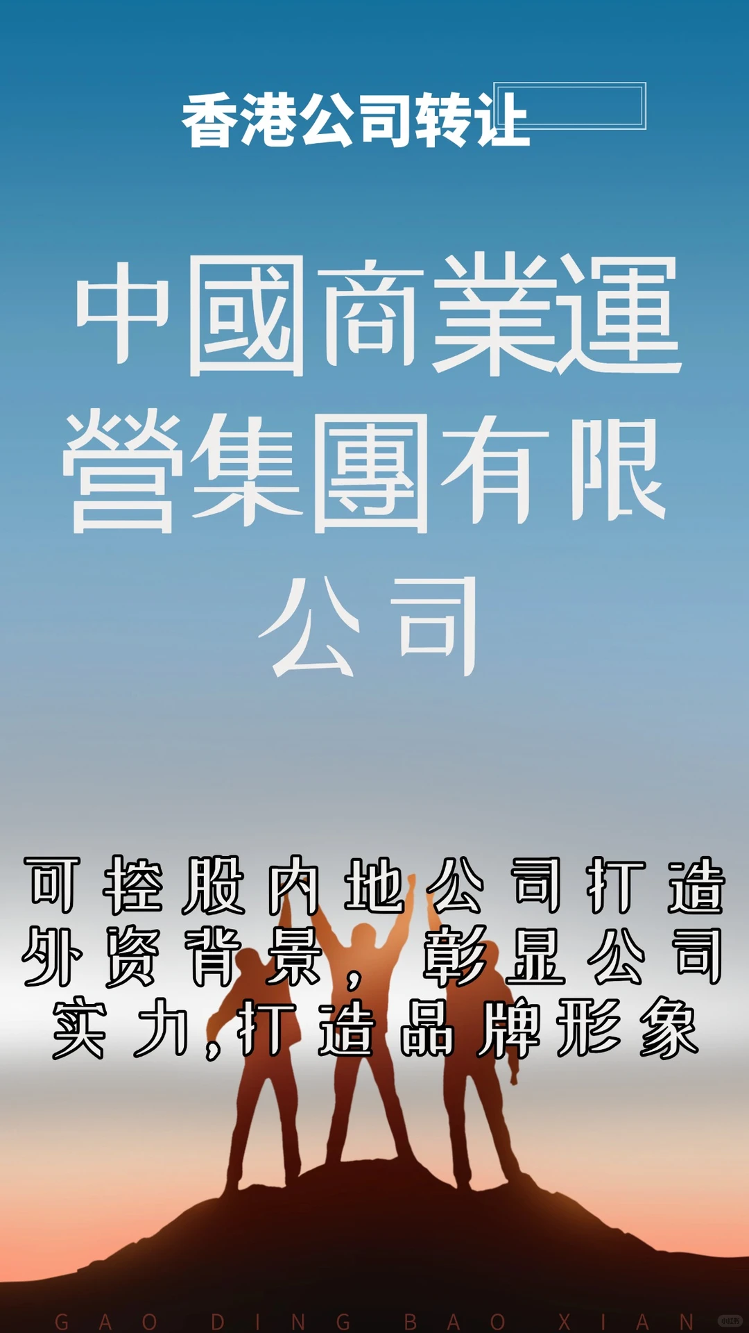 中国商业运营集团有限公司