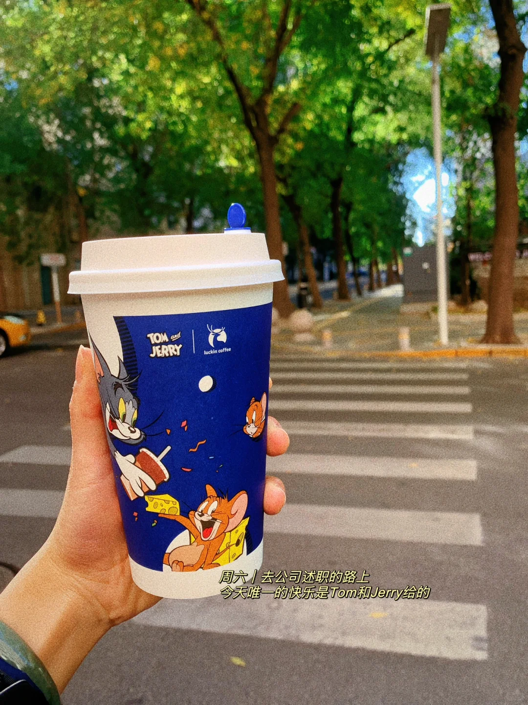 投标流程七步走