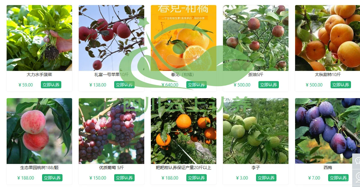 智慧农业：四川云上认养的创新与担当！