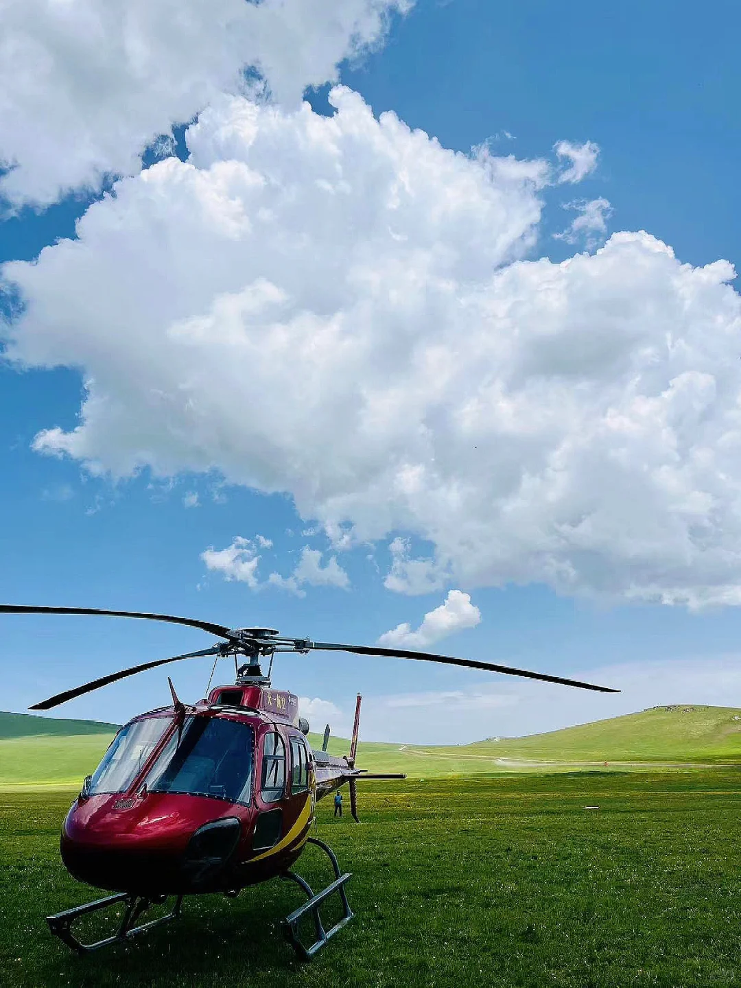 伊犁王牌飞行员申请出战?‍✈️