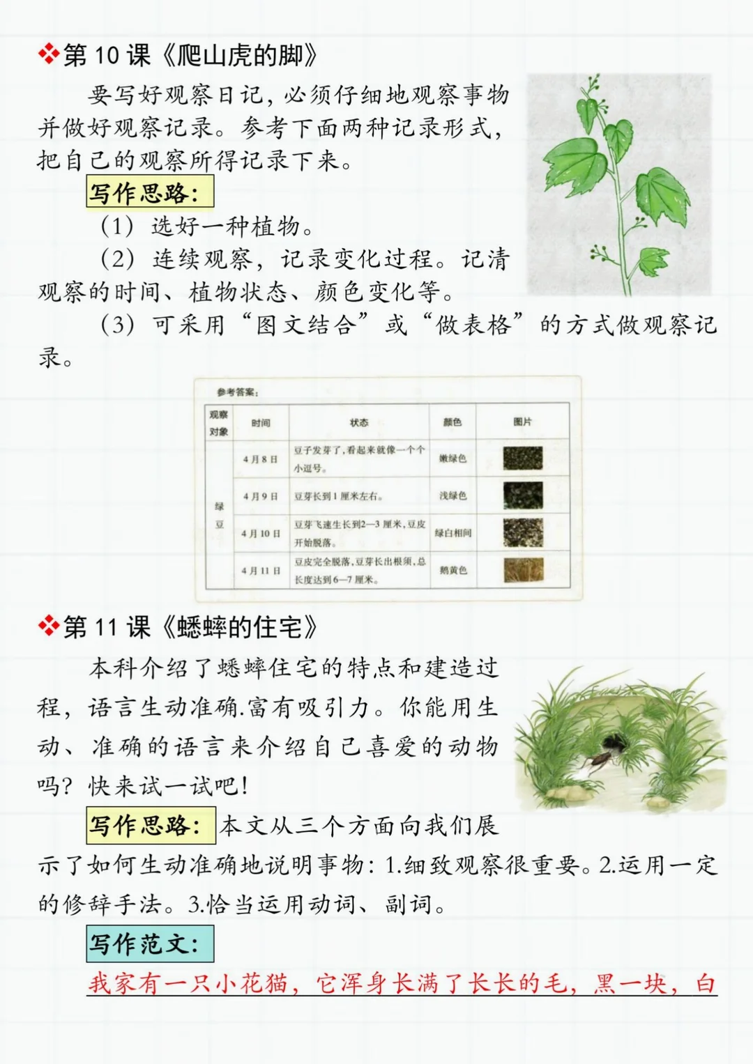 四上语文《课后小练手》全部练完，开学躺平