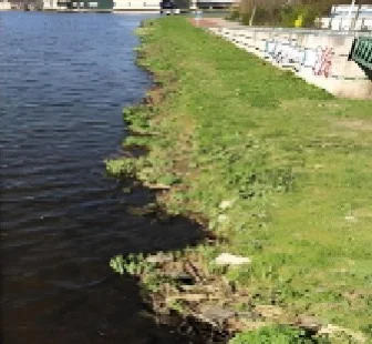 AI清洁艇领航：中国智造守护碧水蓝天