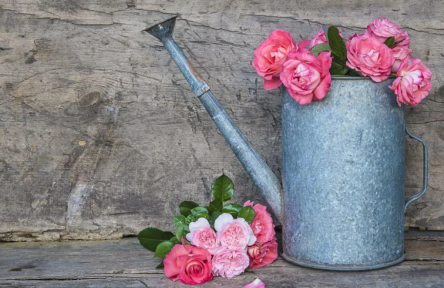 食物残渣变肥料