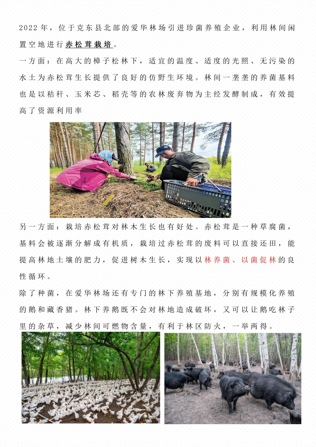 【地理微专题】--林下经济