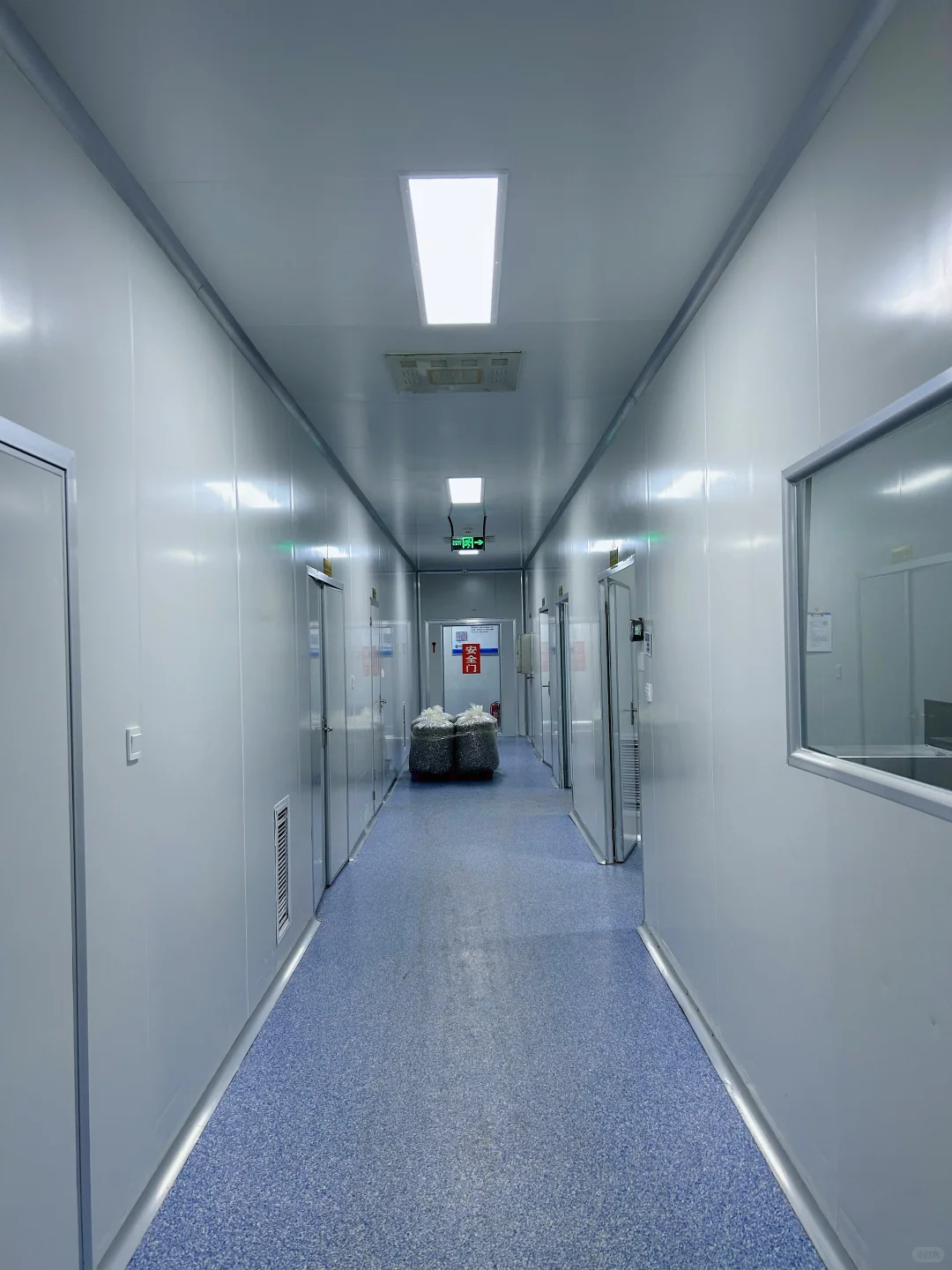 入职保健品加工厂第一天，老板带我开眼界?