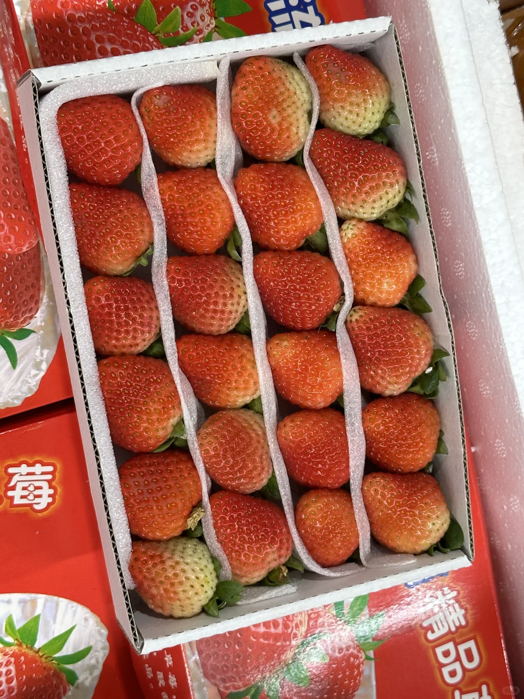 餐厅业的老板，厨师长点进来！?#生鲜供应商