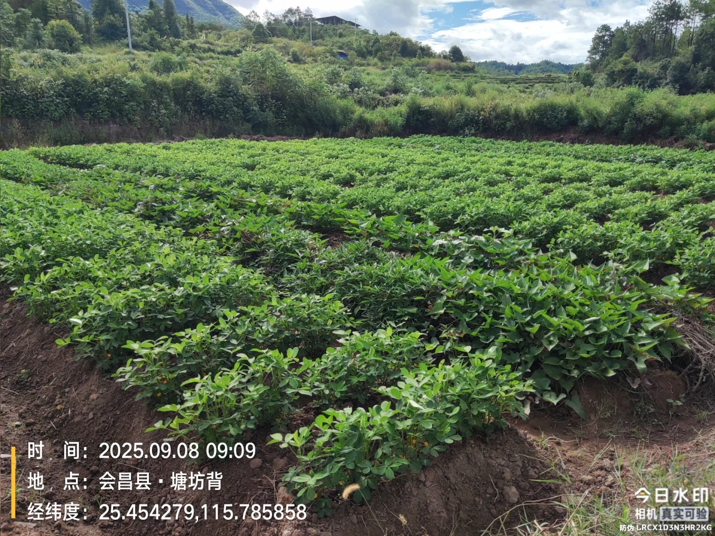 农村产业振兴 ,助农产品