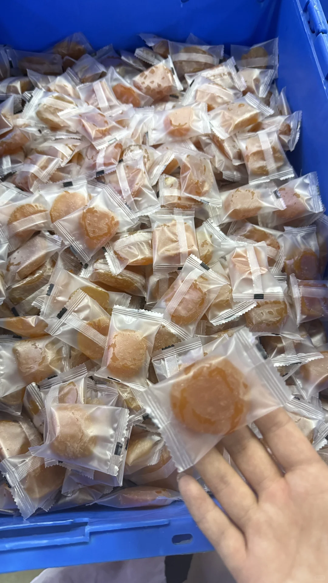 果干批发工厂大量生产