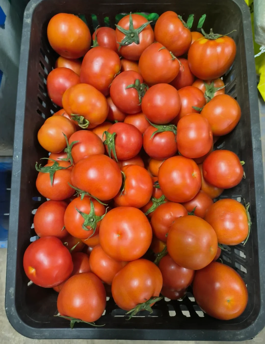 珠海餐饮食材配送，品质看得见！！