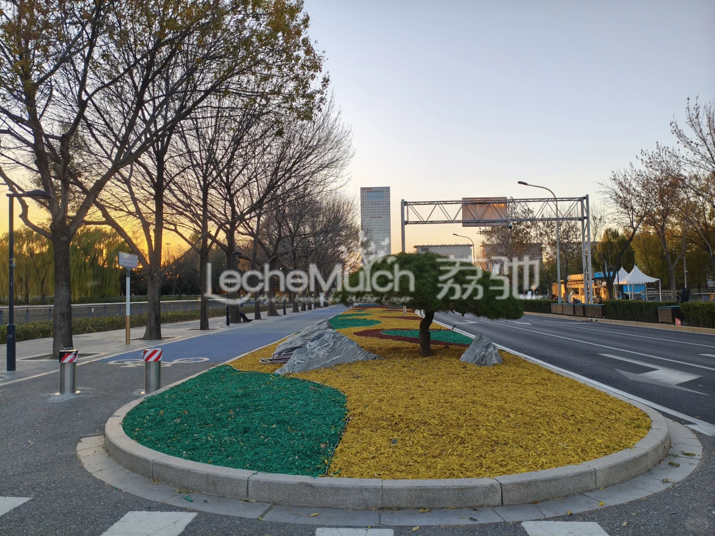 彩色有机覆盖 绘就冬日画卷