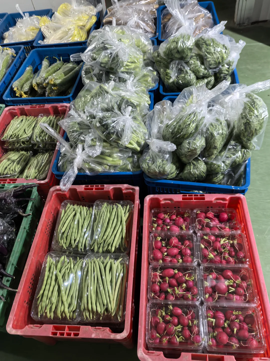 新鲜不缺席｜健康不将就｜配送月结