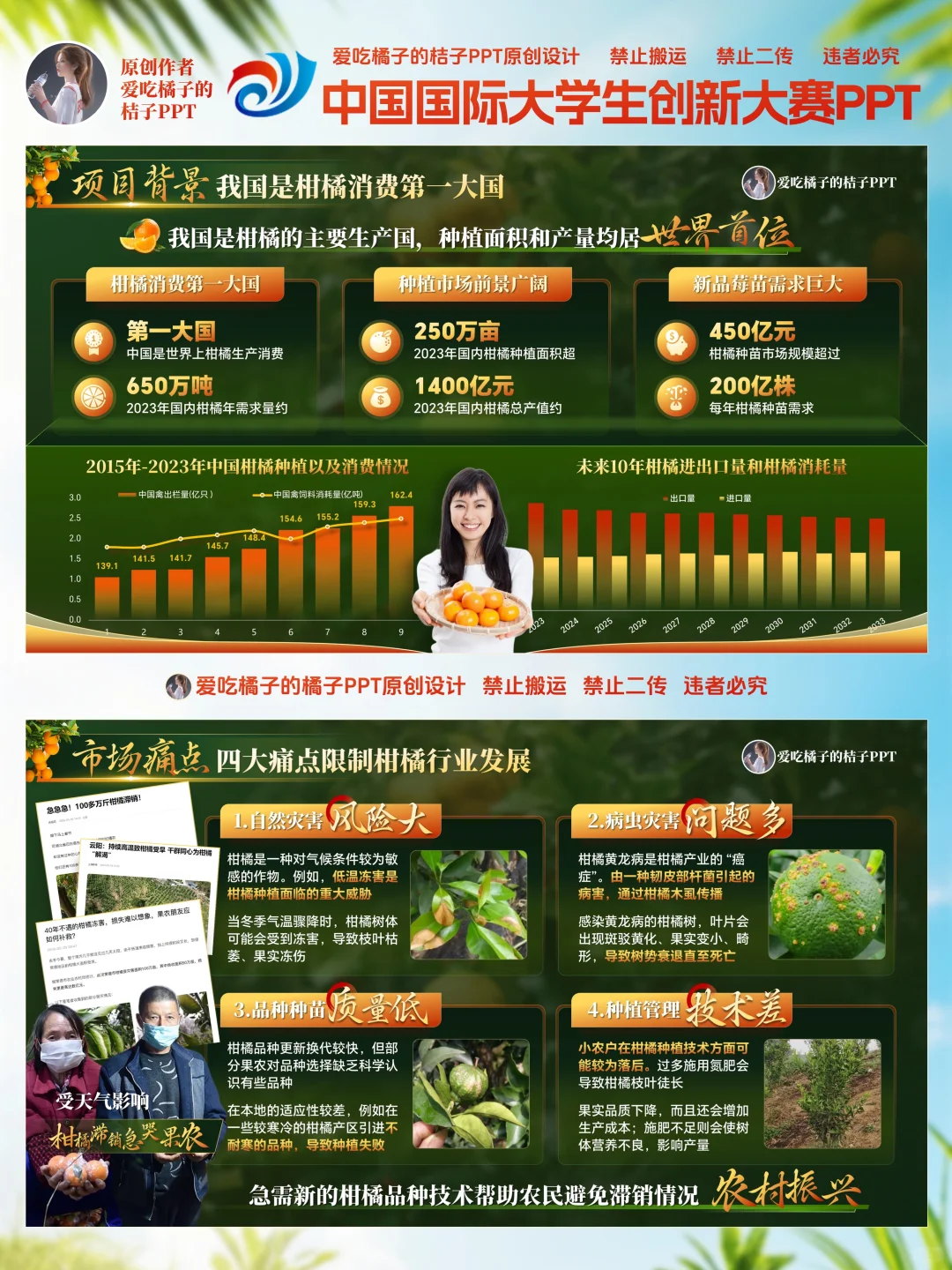 互联网➕大赛金奖红旅赛道乡村振新PPT模板