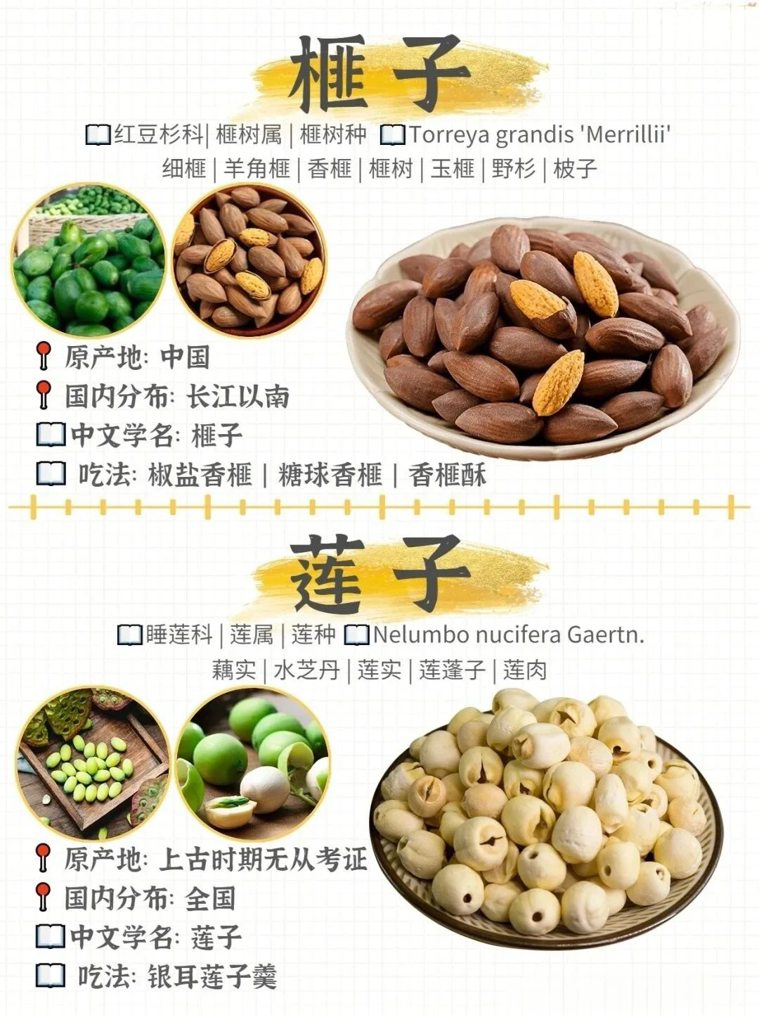 哪种坚果最好吃！坚果图鉴