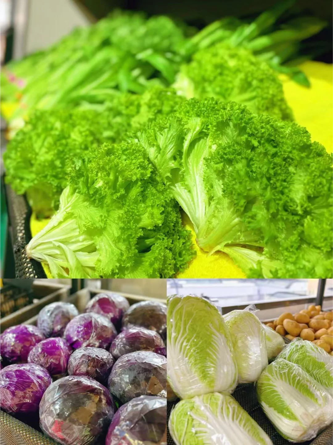 ?惊艳！！被家门口的“菜篮子”鲜到了