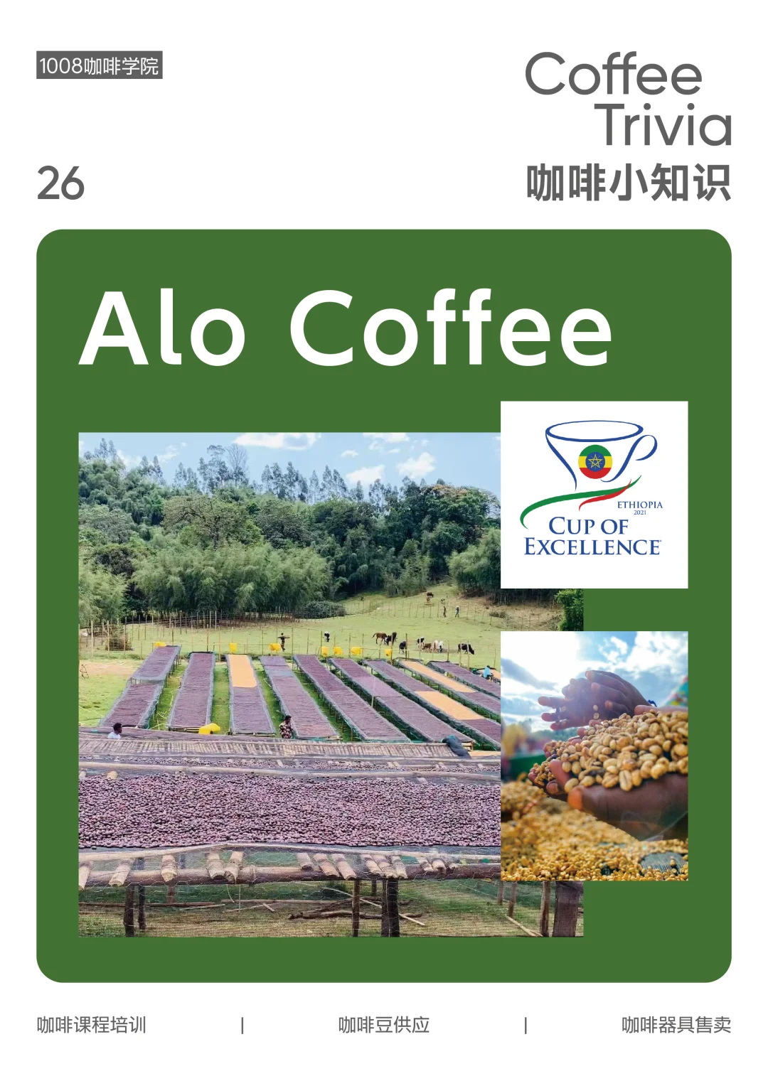 咖啡小知识丨Alo Coffee