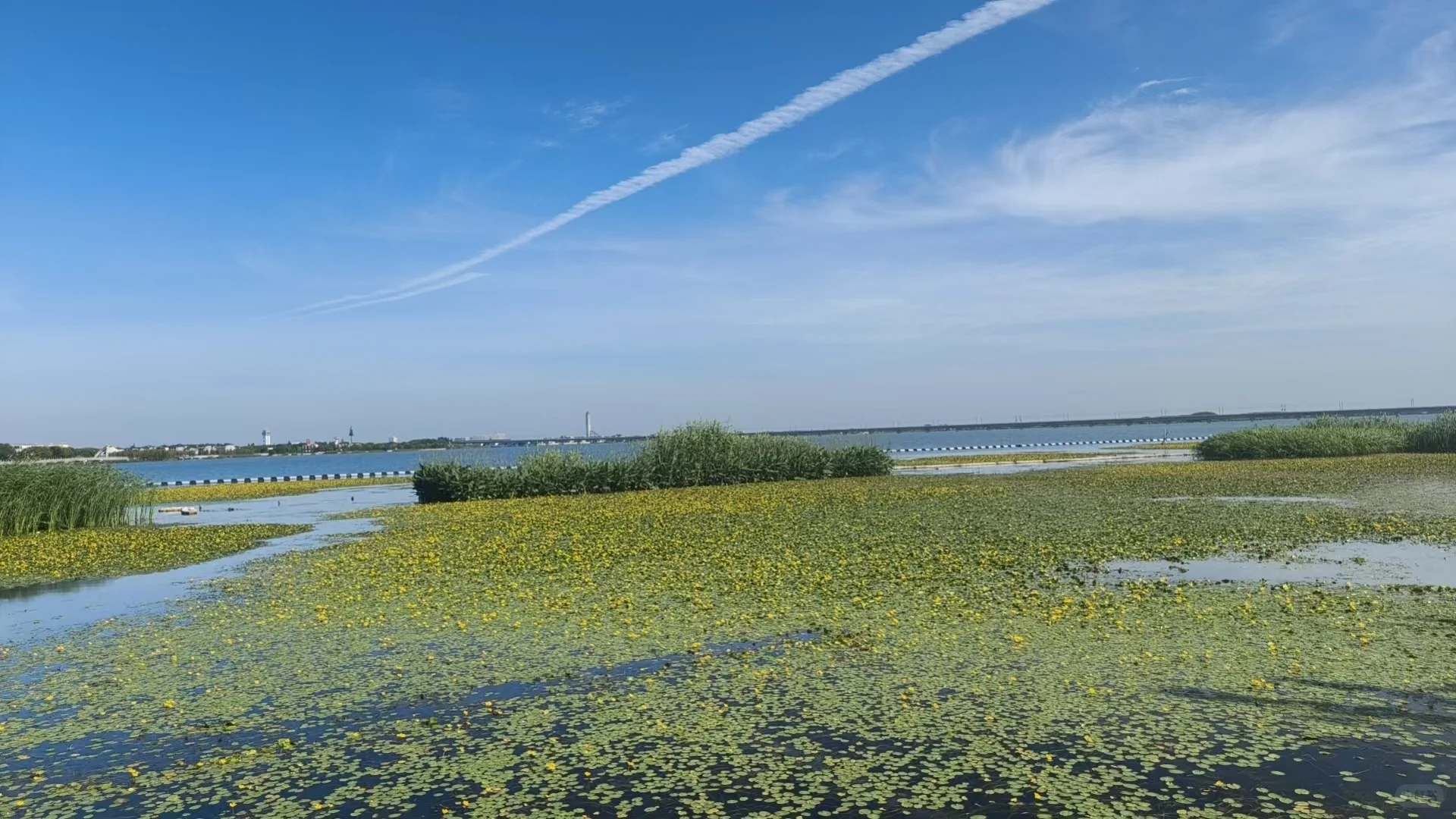 河湖治理新生记