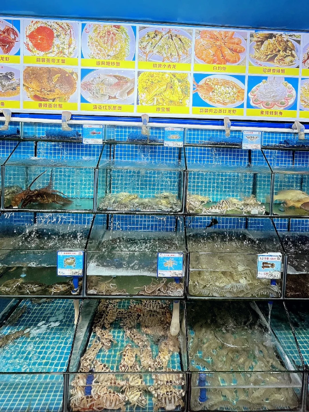 外地游客亲测！三亚第一市场海鲜店