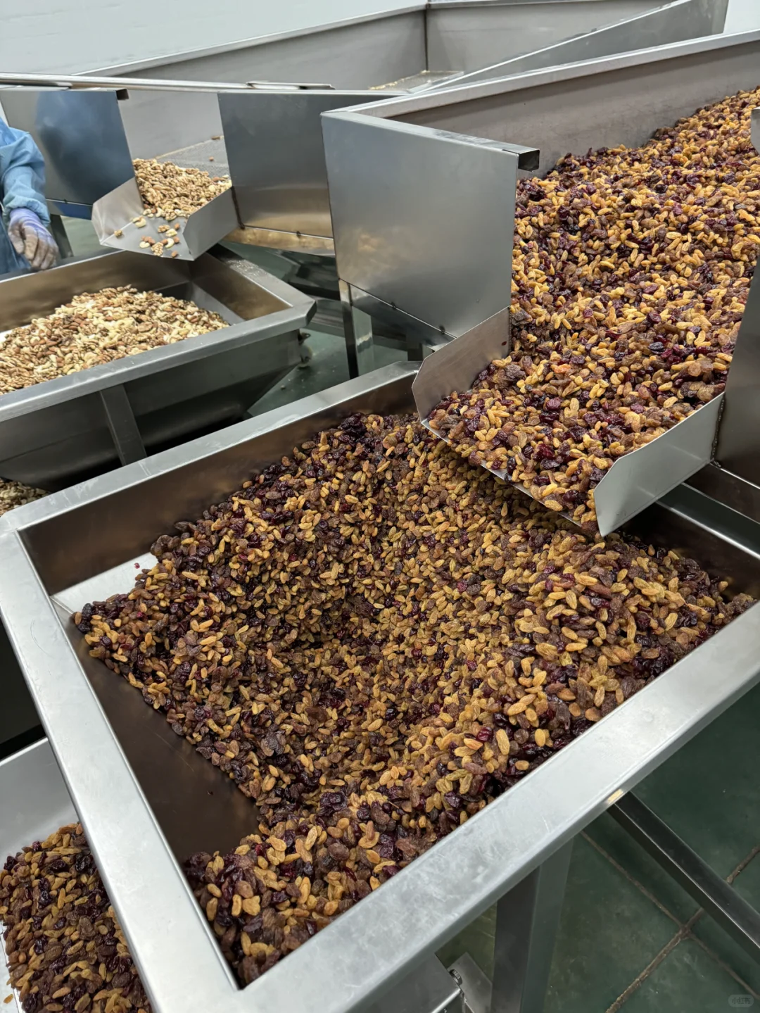 1688挖到三只ss、百c味老家了！坚果自由！