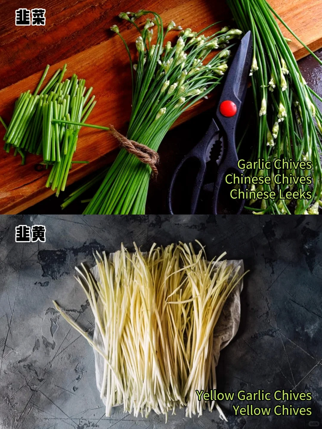 加拿大常见蔬菜中英文对照?叶菜篇