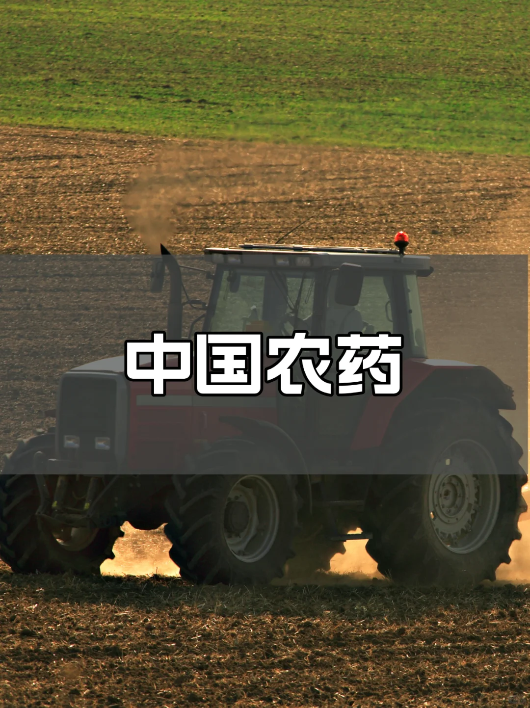 中国生物农药市场蓬勃发展,迈向国际舞台