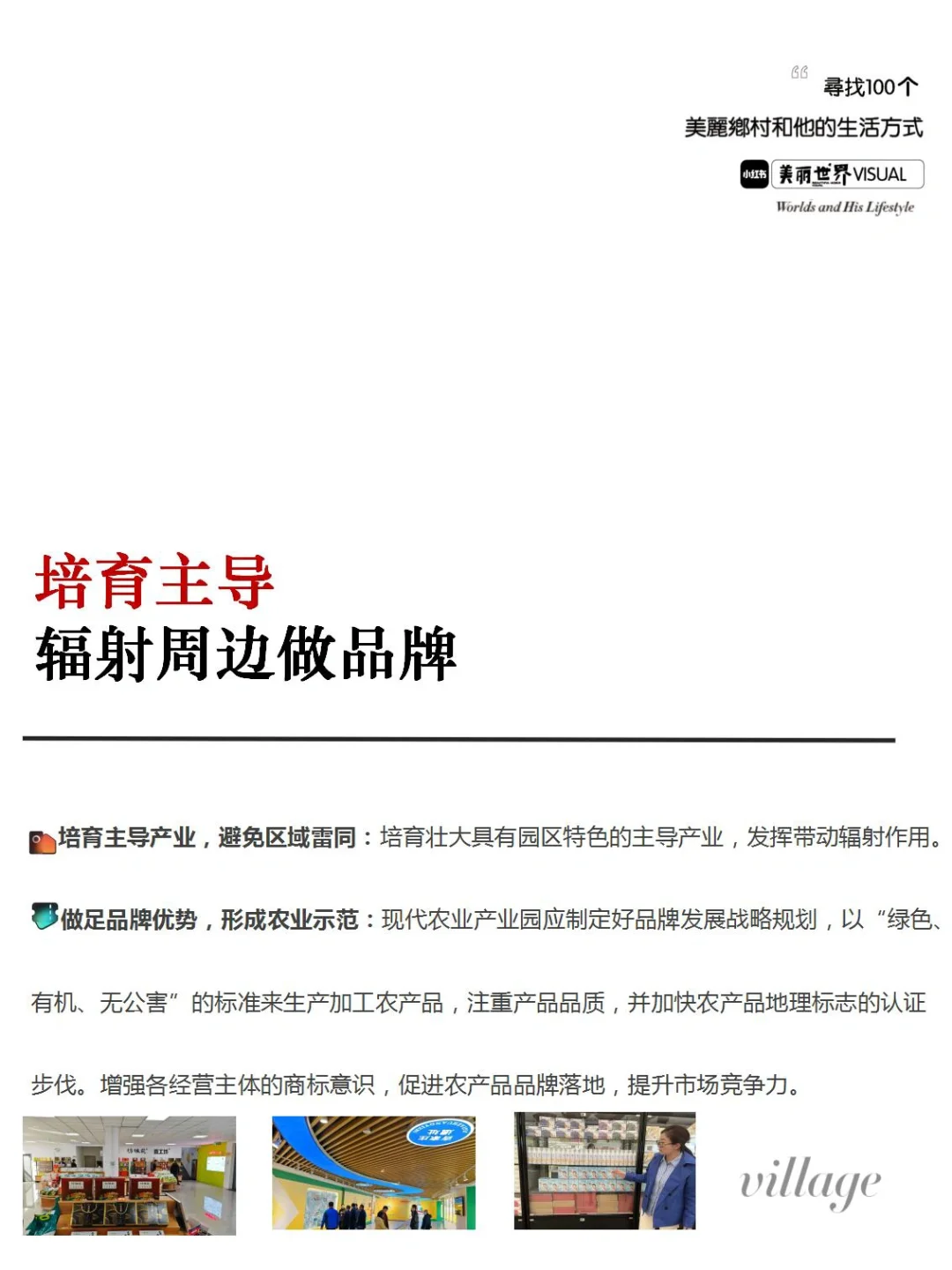 乡村振兴｜小黄花开出大产业