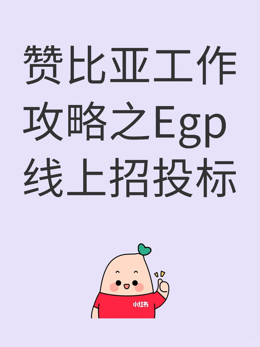 赞比亚工作攻略之Egp线上招投标
