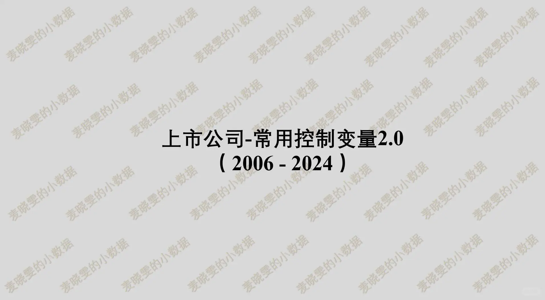 2006-2024年 上市公司-常用控制变量2.0