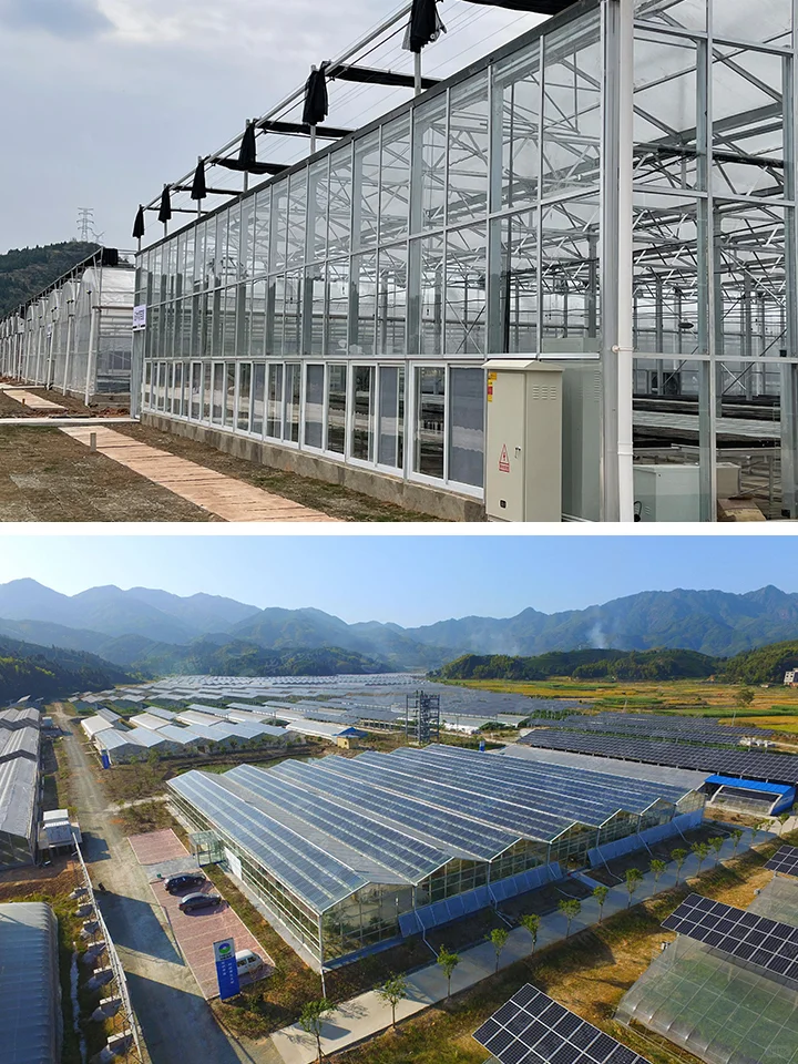 节能技术在温室大棚中的应用