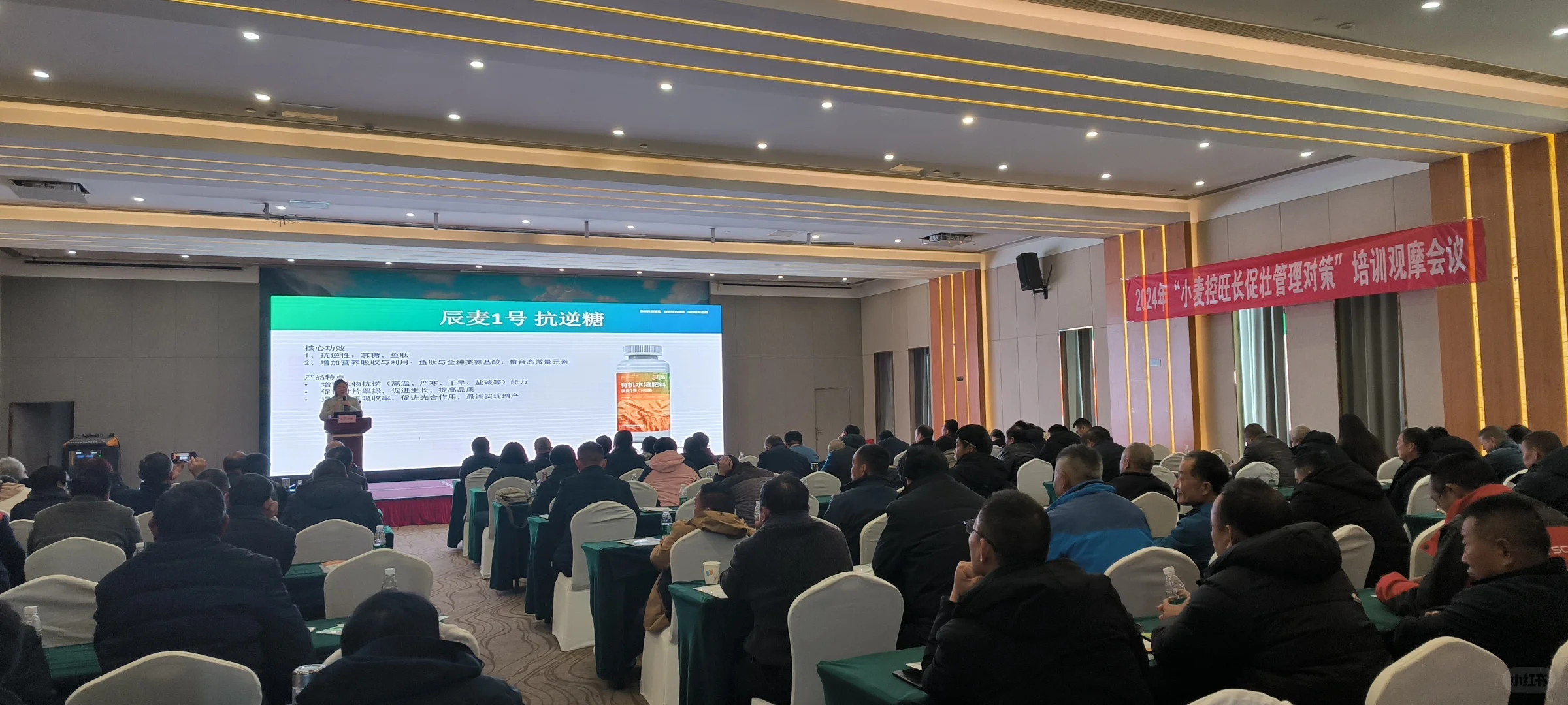 #科技助农[话题]# ?绿农天®辰麦1号