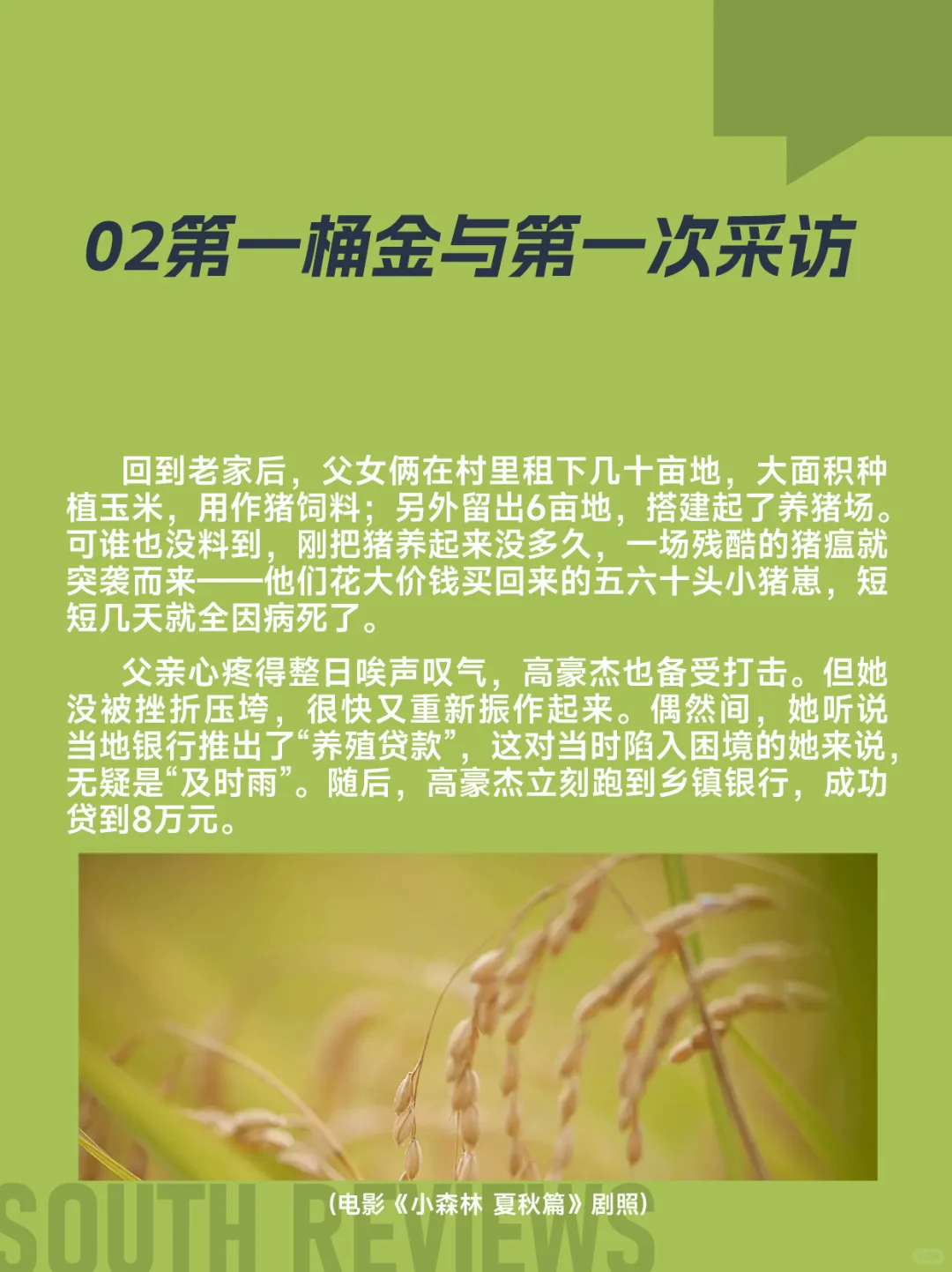 00后大学毕业后回村种地，她是怎么想的