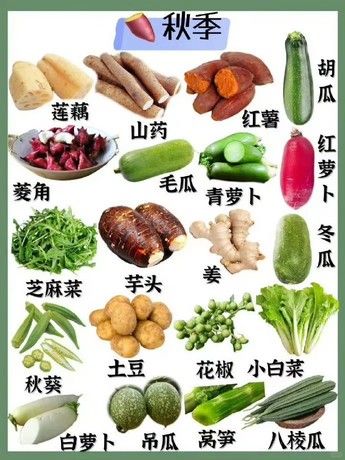 应季蔬菜时令表收藏起来给孩子最新鲜的营养