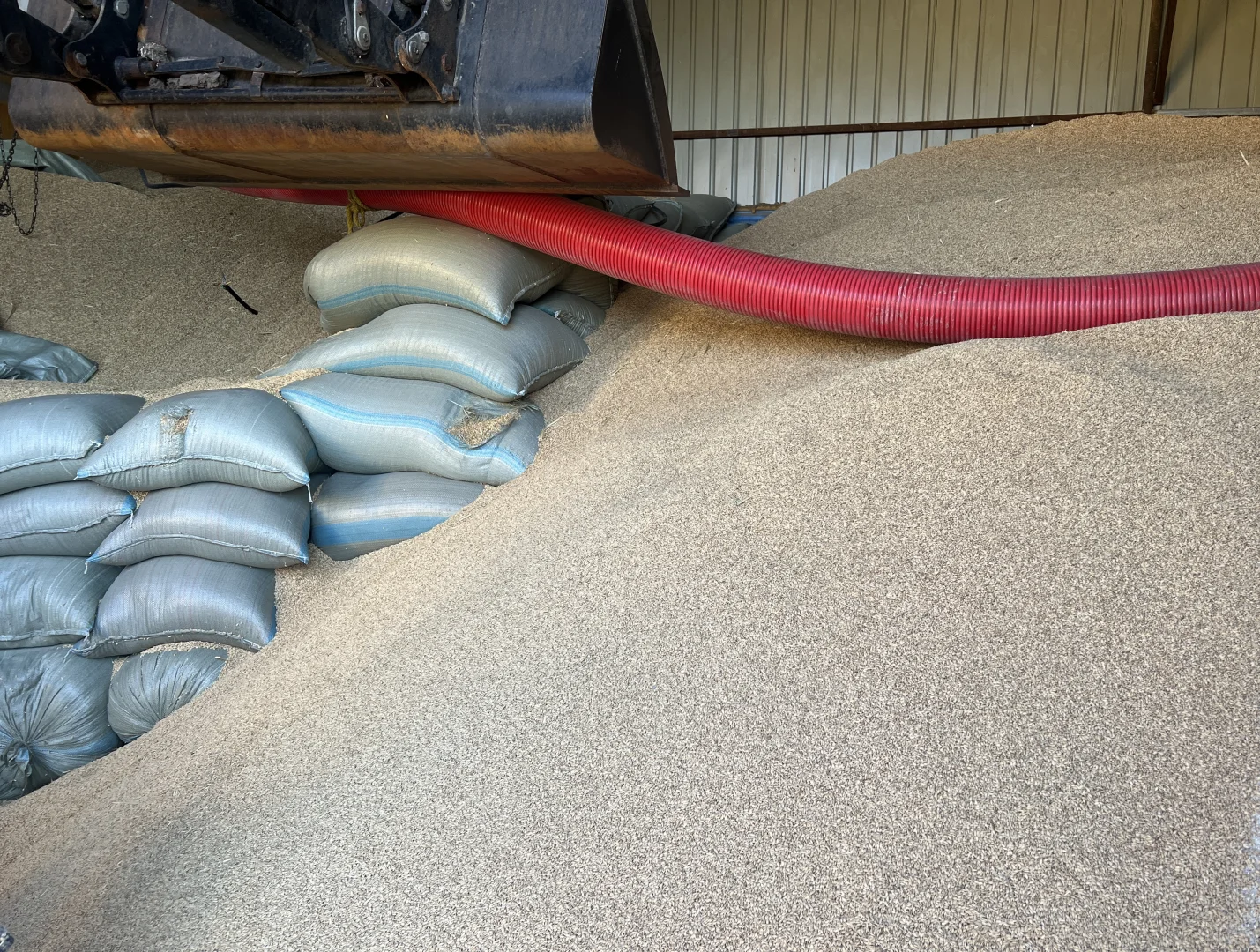 现加工现发的农家大米?