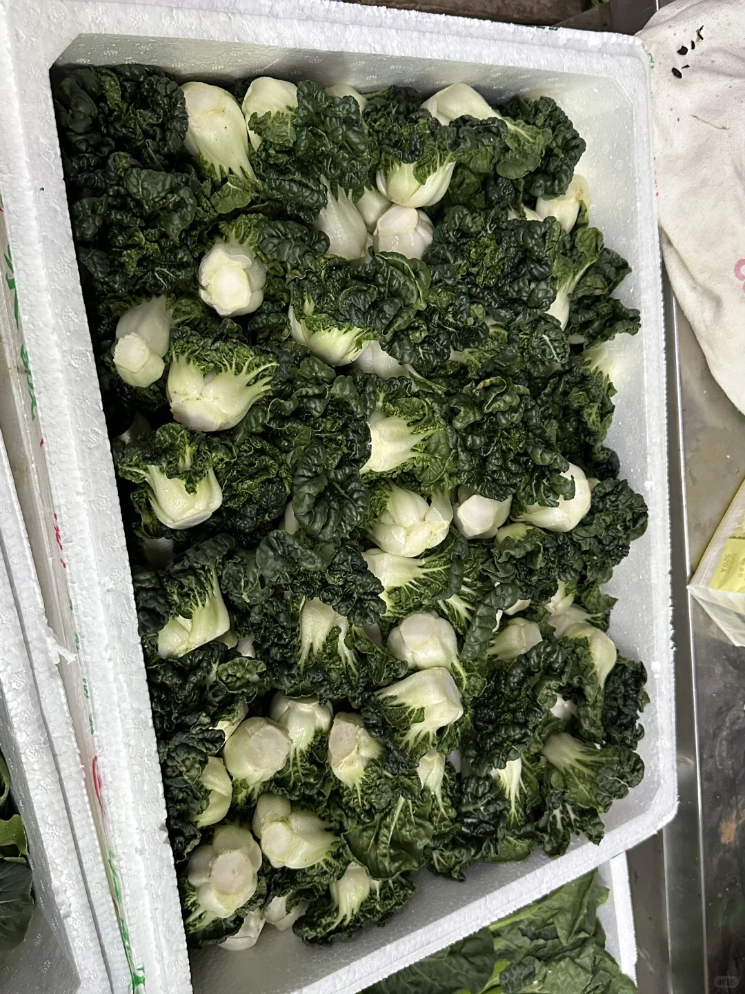 餐厅业的老板，厨师长点进来！?#生鲜供应商