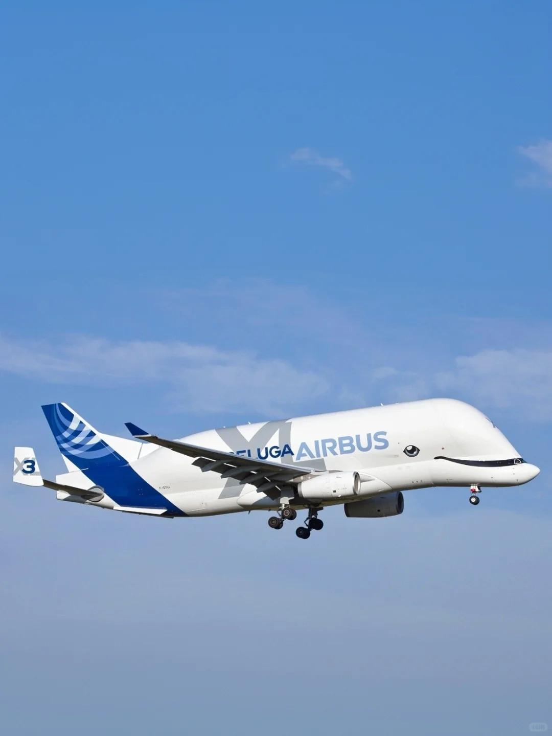 空客公司的6架超级“大白鲸”