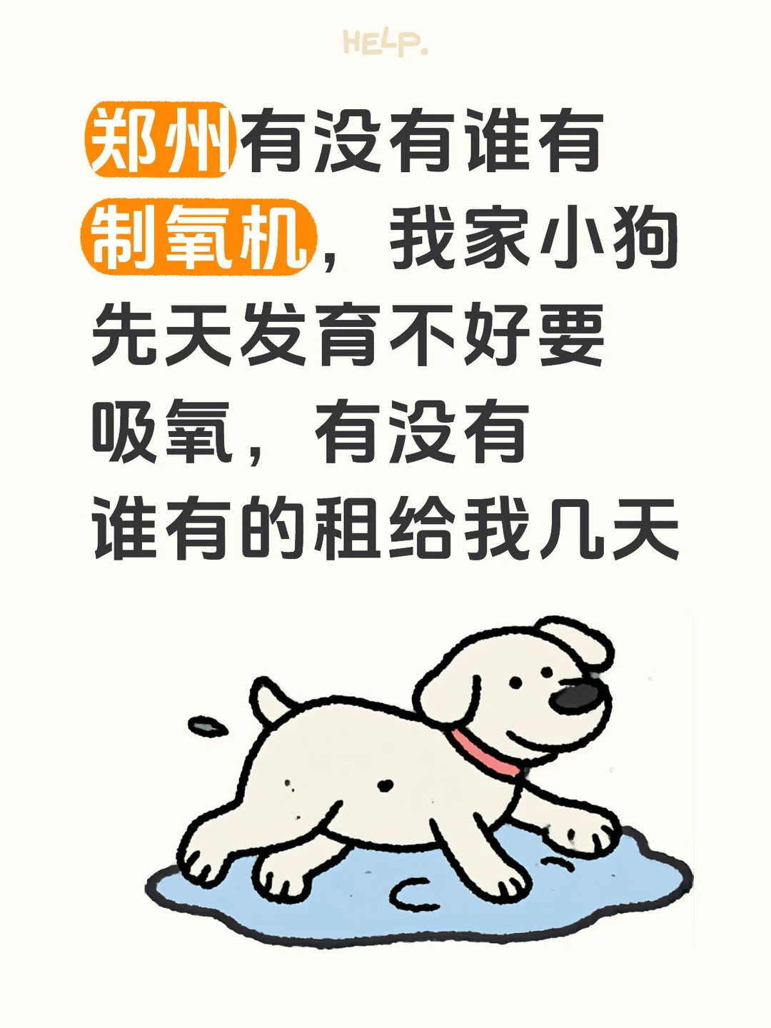 郑州求租宠物制氧机