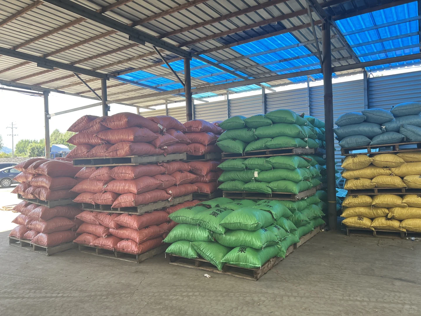 批发板栗就找栗子姐