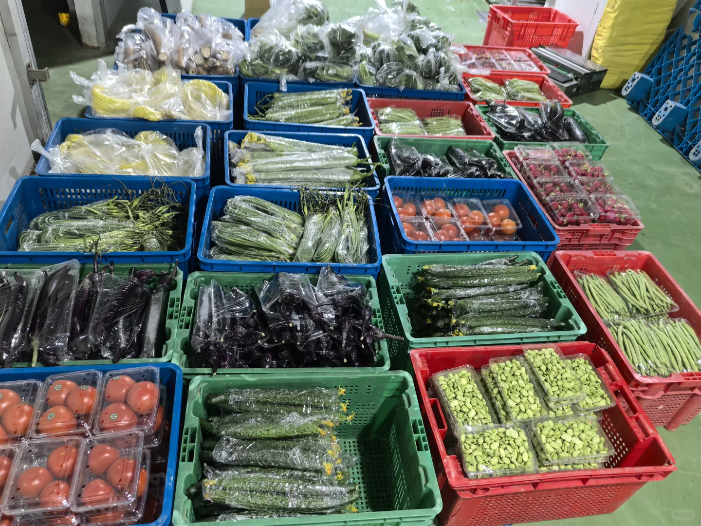 新鲜不缺席｜健康不将就｜配送月结