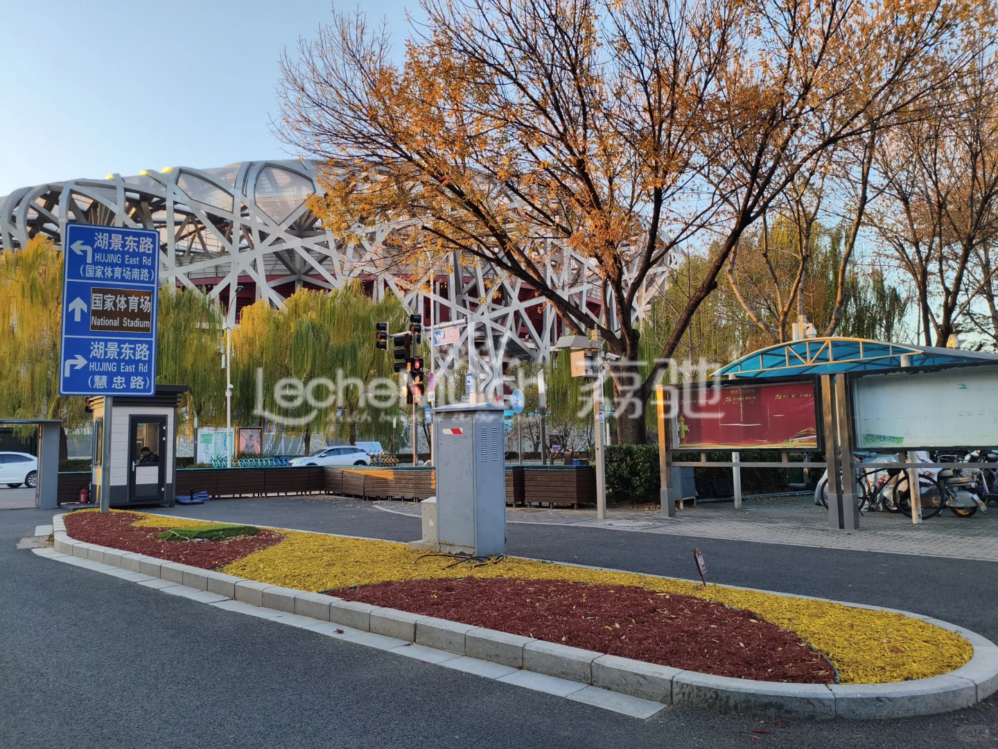 彩色有机覆盖 绘就冬日画卷