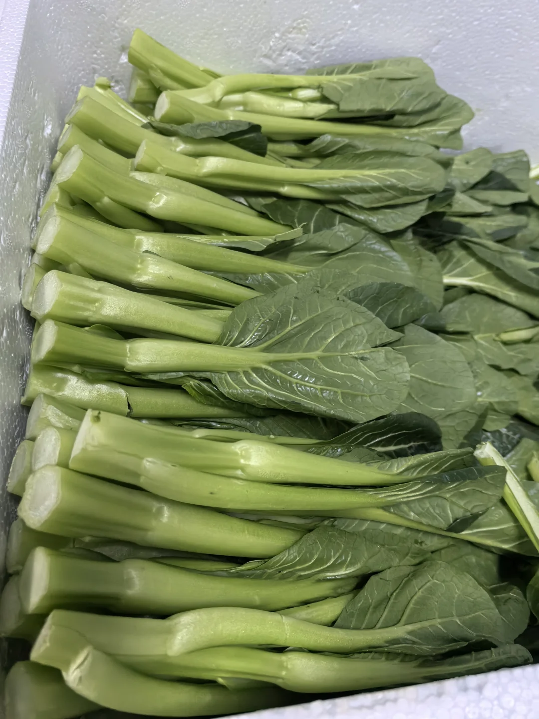 新鲜不缺席｜健康不将就｜配送月结