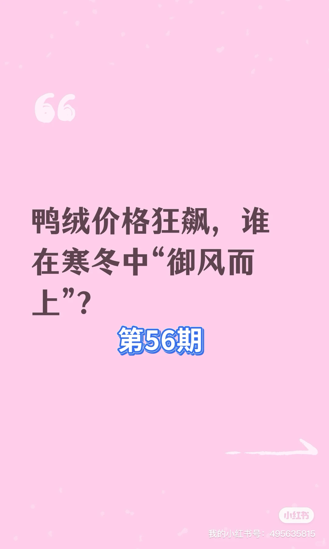 鸭绒价格狂飙，谁在寒冬中“御风而上”？
