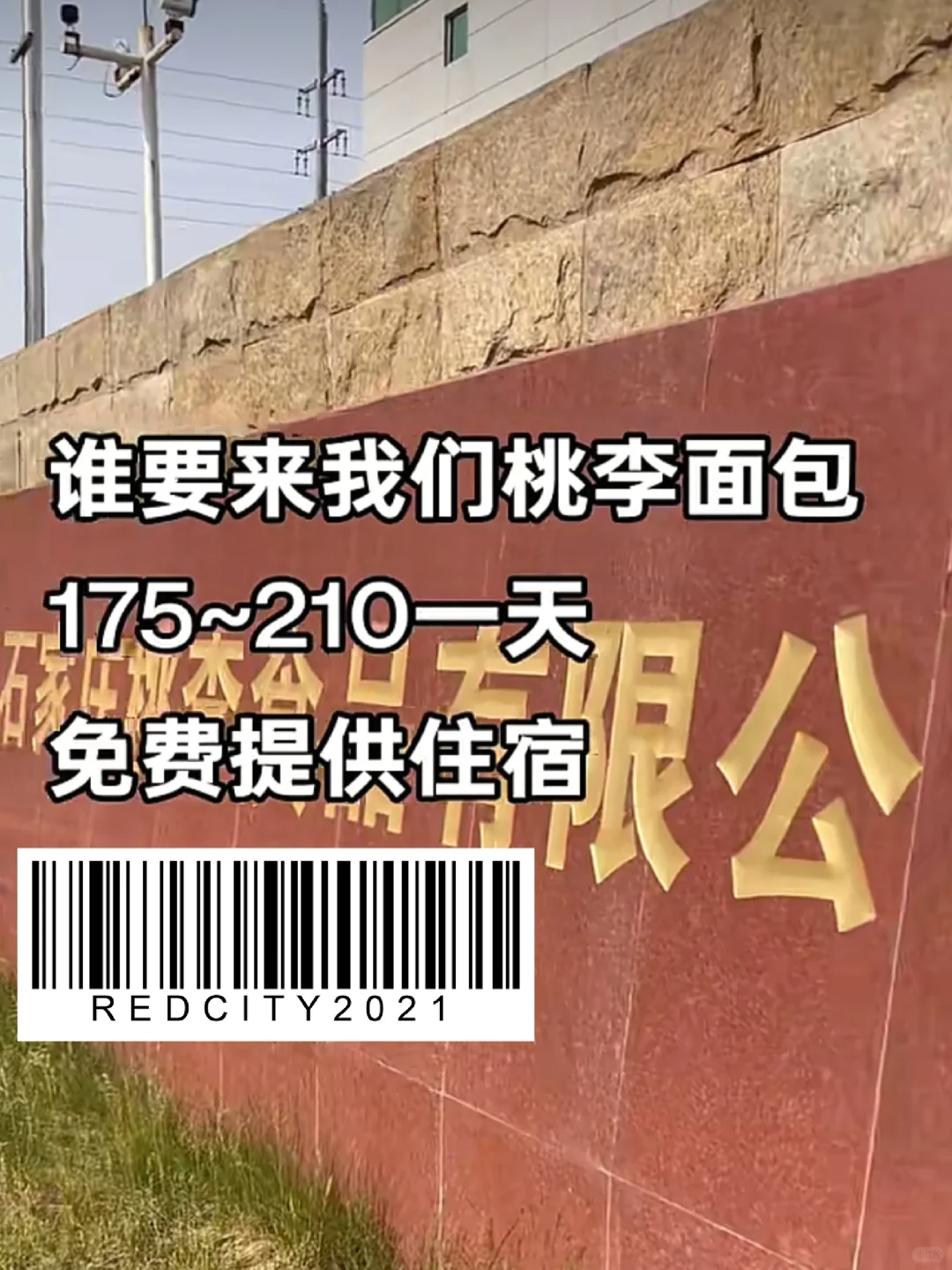 不懂就问谁来过这个面包厂!