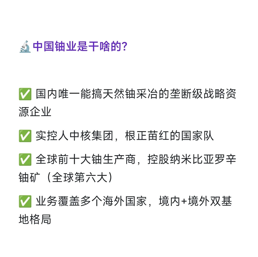 中国铀业即将申购，干货在此