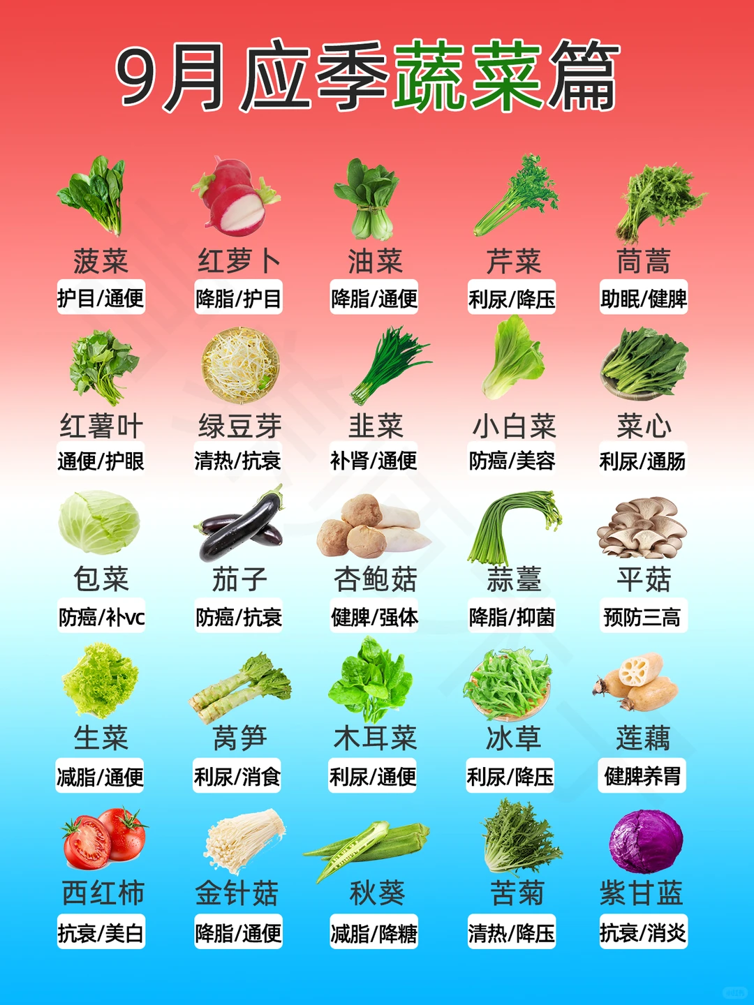 9月应季蔬菜篇?