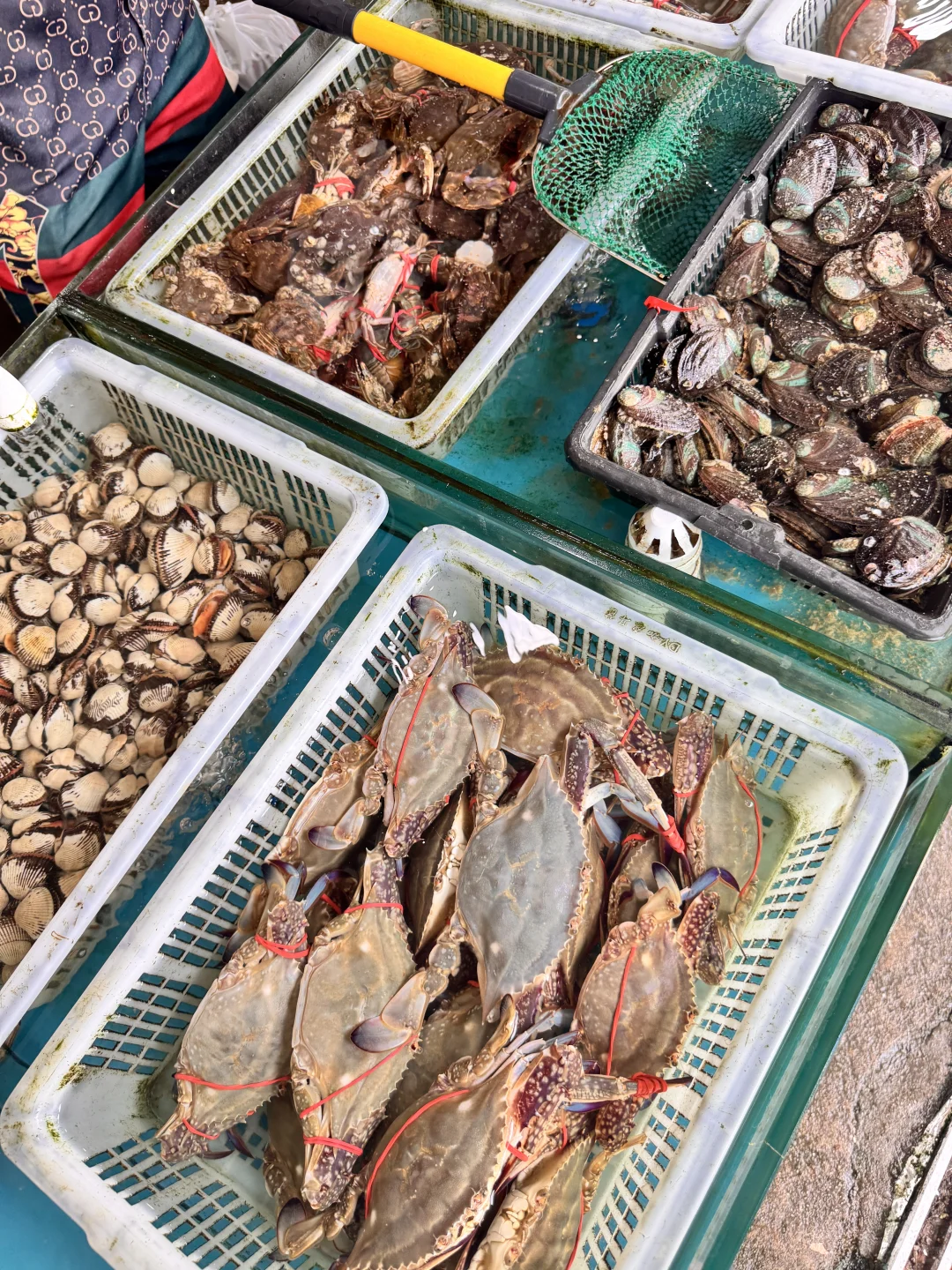 秦皇岛｜别去网红店了！体验海鲜自购➕代加工