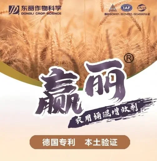 德国赢创增效剂