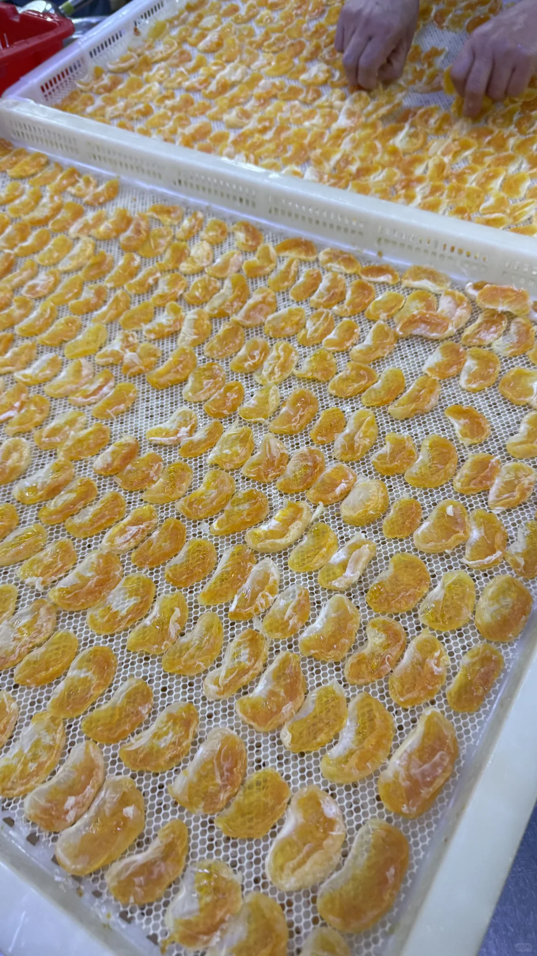 果干批发工厂大量生产