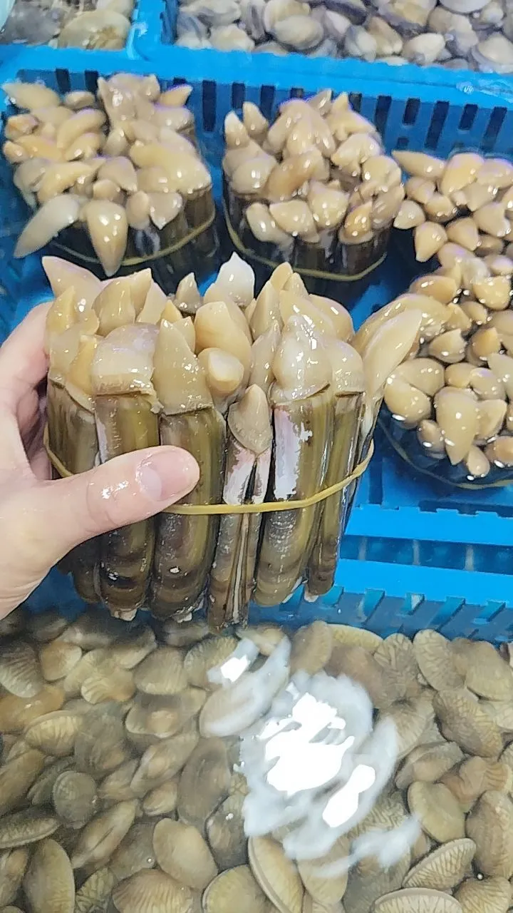 陈记川味海鲜加工店、林旺市场109号、