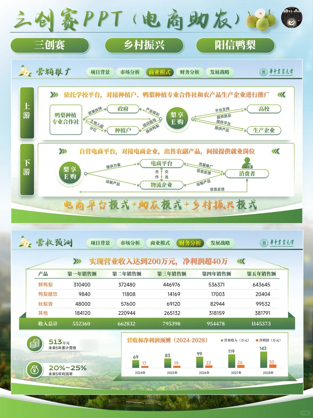 ✨️三创赛丨电商助力农业发展PPT