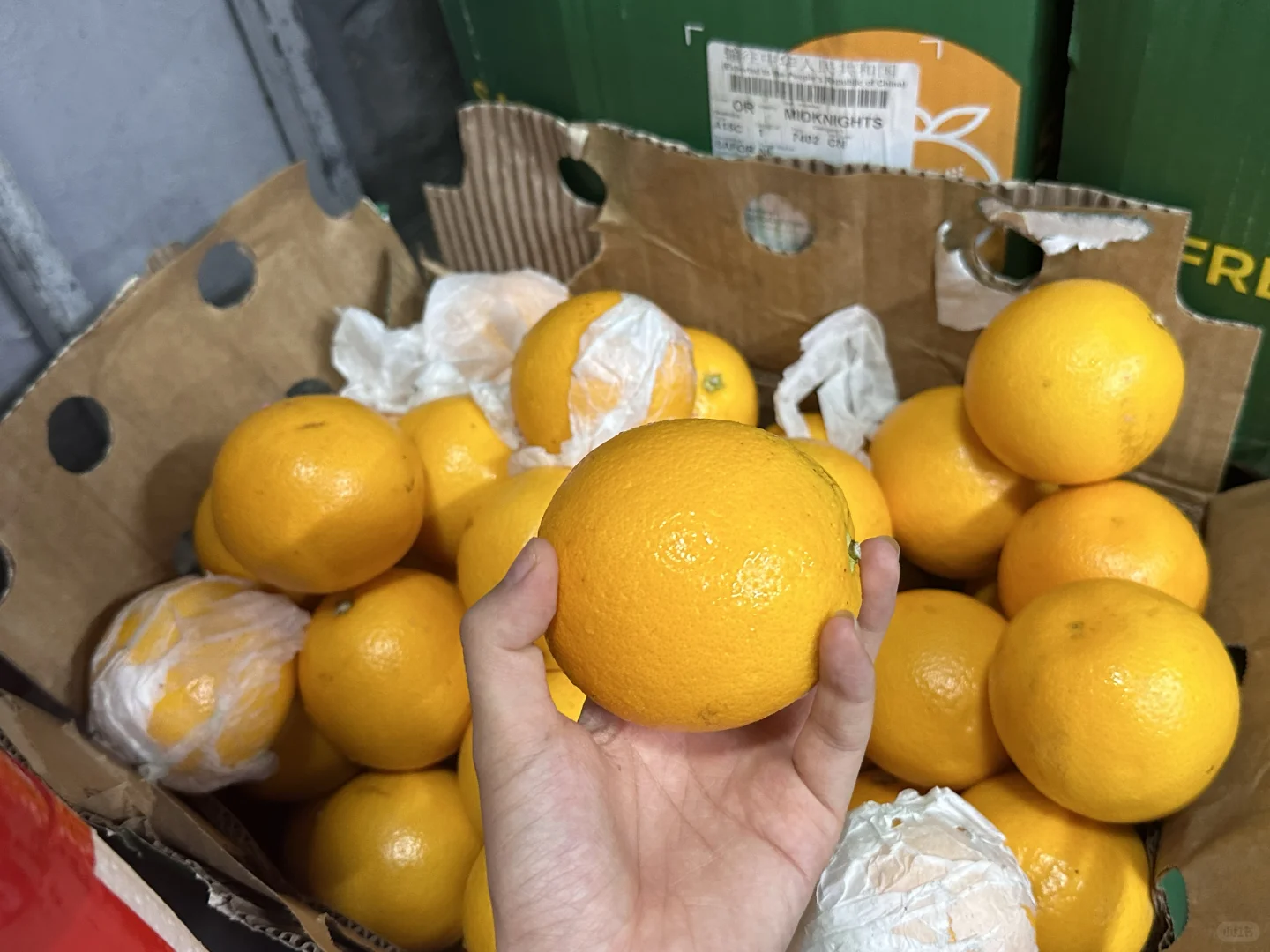 餐厅业的老板，厨师长点进来！?#生鲜供应商