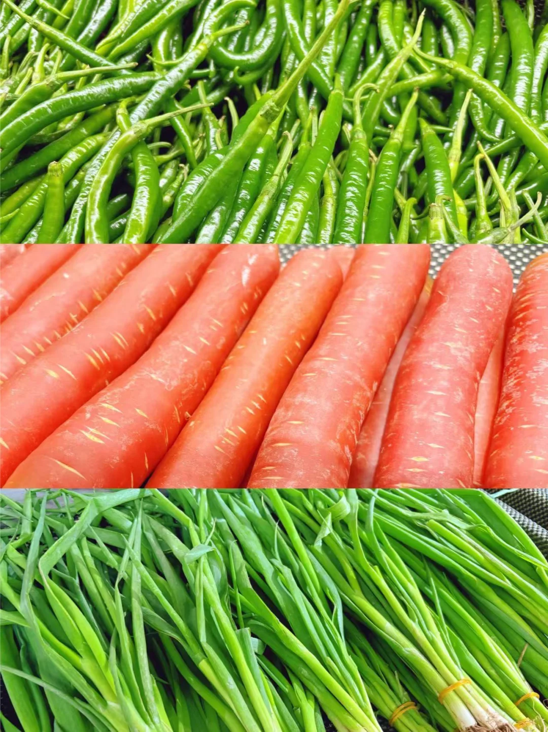 ?惊艳！！被家门口的“菜篮子”鲜到了